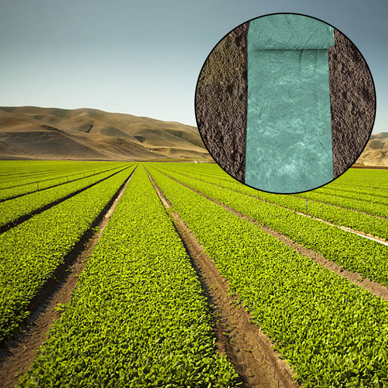 Biodegradable grass seed mat