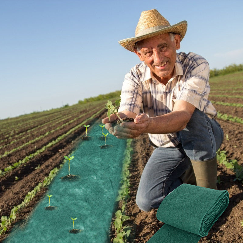 Biodegradable grass seed mat